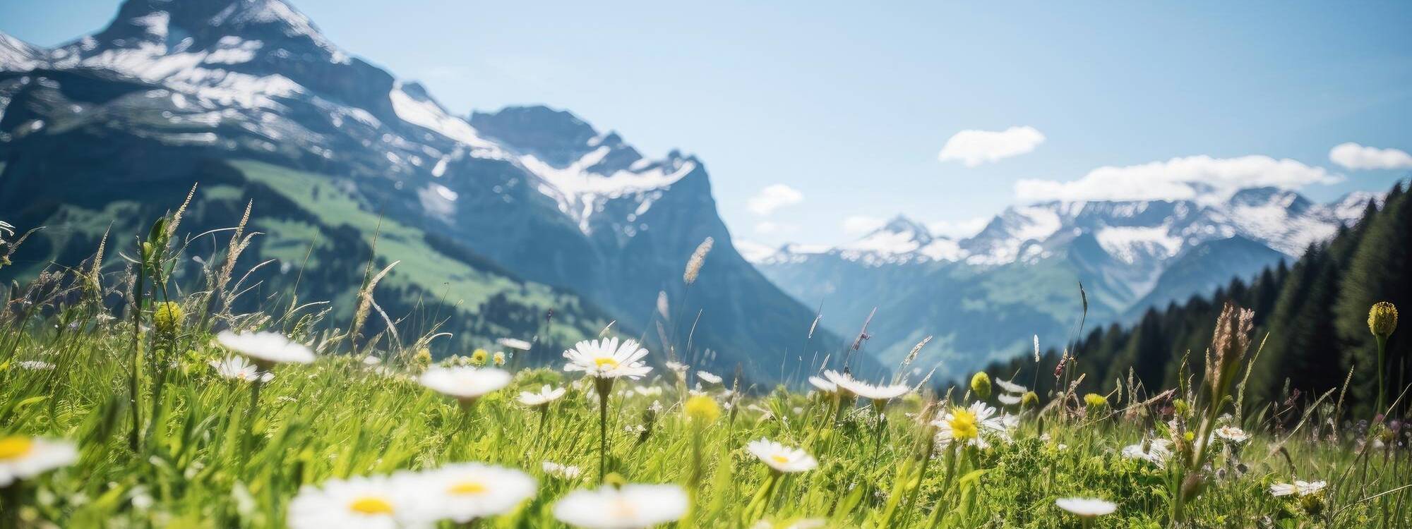 Sommerurlaub - Karwendel